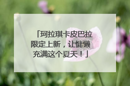 珂拉琪卡皮巴拉限定上新，让慵懒充满这个夏天！