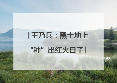 王乃兵：黑土地上“种”出红火日子