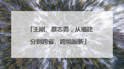 王刚、蔡志勇，从福建分别跨省、跨境履新