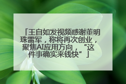 王自如发视频感谢董明珠雷军，称将再次创业，聚焦AI应用方向，“这件事确实来钱快”