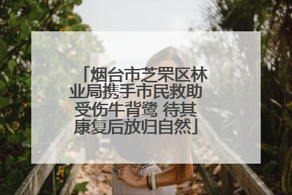烟台市芝罘区林业局携手市民救助受伤牛背鹭 待其康复后放归自然