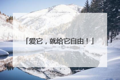 爱它，就给它自由！