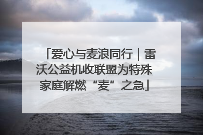 爱心与麦浪同行｜雷沃公益机收联盟为特殊家庭解燃“麦”之急