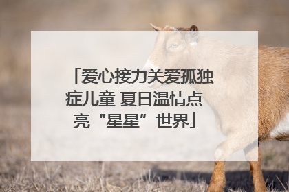 爱心接力关爱孤独症儿童 夏日温情点亮“星星”世界