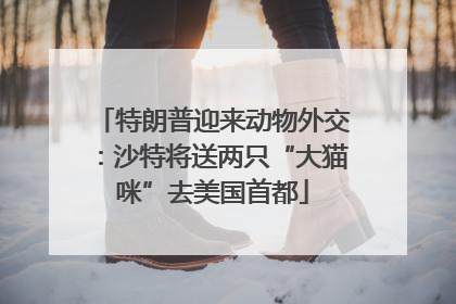 特朗普迎来动物外交：沙特将送两只“大猫咪”去美国首都