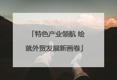 特色产业领航 绘就外贸发展新画卷