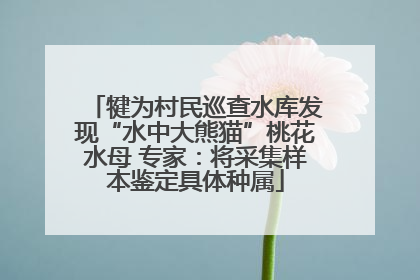 犍为村民巡查水库发现“水中大熊猫”桃花水母 专家：将采集样本鉴定具体种属