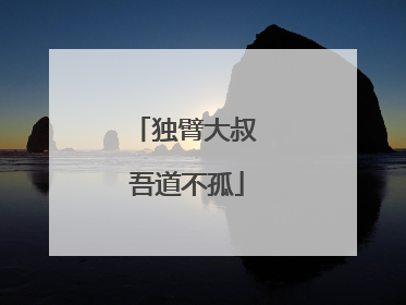 独臂大叔 吾道不孤