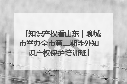 知识产权看山东｜聊城市举办全市第二期涉外知识产权保护培训班