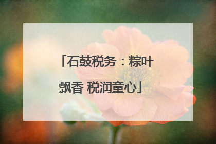 石鼓税务：粽叶飘香 税润童心