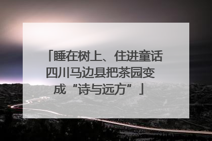 睡在树上、住进童话 四川马边县把茶园变成“诗与远方”
