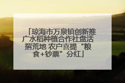 琼海市万泉镇创新推广水稻种植合作社盘活撂荒地 农户喜提“粮食+钞票”分红