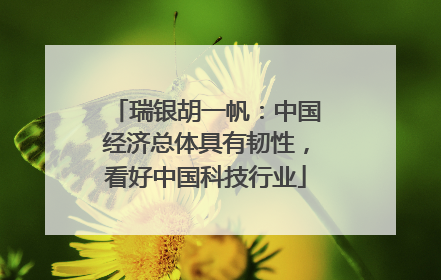 瑞银胡一帆：中国经济总体具有韧性，看好中国科技行业