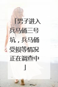 男子进入兵马俑三号坑，兵马俑受损等情况正在调查中