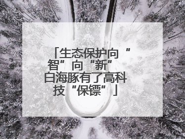 生态保护向“智”向“新” 白海豚有了高科技“保镖”