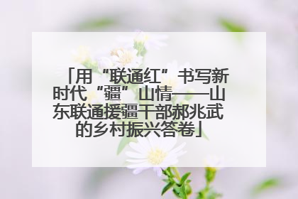 用“联通红”书写新时代“疆”山情——山东联通援疆干部郝兆武的乡村振兴答卷