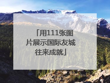 用111张图片展示国际友城往来成就