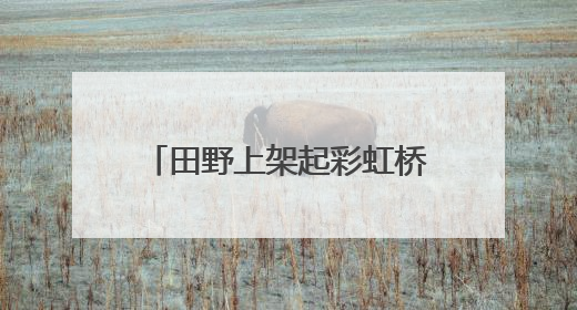 田野上架起彩虹桥：三亚水蛟村“农田+”激活乡村经济