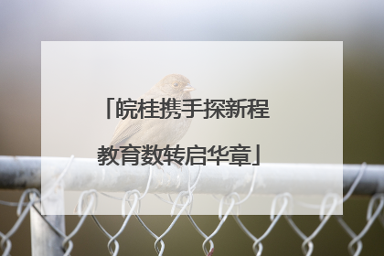 皖桂携手探新程 教育数转启华章