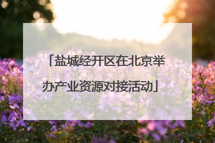 盐城经开区在北京举办产业资源对接活动