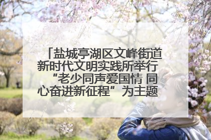 盐城亭湖区文峰街道新时代文明实践所举行“老少同声爱国情 同心奋进新征程”为主题的红色文化活动