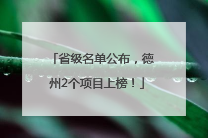省级名单公布，德州2个项目上榜！