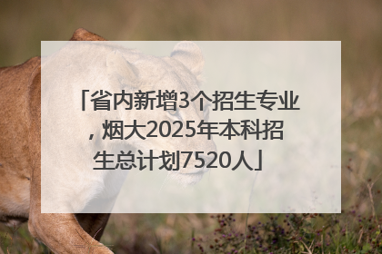 省内新增3个招生专业，烟大2025年本科招生总计划7520人