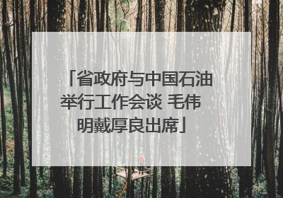 省政府与中国石油举行工作会谈 毛伟明戴厚良出席