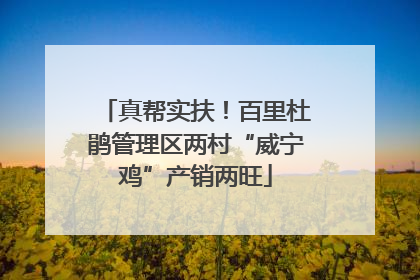 真帮实扶！百里杜鹃管理区两村“威宁鸡”产销两旺