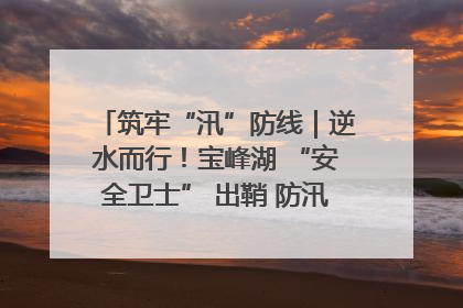 筑牢“汛”防线｜逆水而行！宝峰湖 “安全卫士” 出鞘 防汛应急再添硬核力量