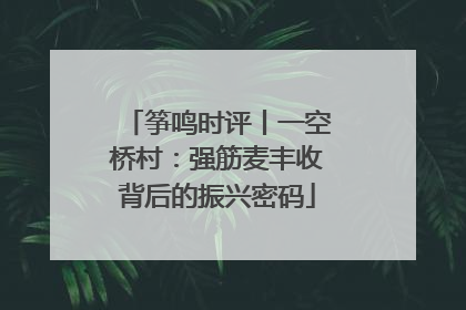 筝鸣时评丨一空桥村：强筋麦丰收背后的振兴密码