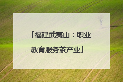 福建武夷山：职业教育服务茶产业