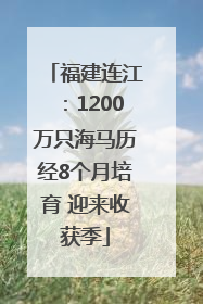 福建连江：1200万只海马历经8个月培育 迎来收获季