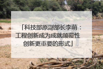 科技部原副部长李萌：工程创新成为成就颠覆性创新更重要的形式