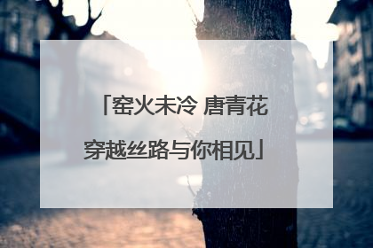 窑火未冷 唐青花穿越丝路与你相见