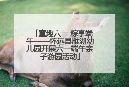 童趣六一 粽享端午——怀远县雁湖幼儿园开展六一端午亲子游园活动