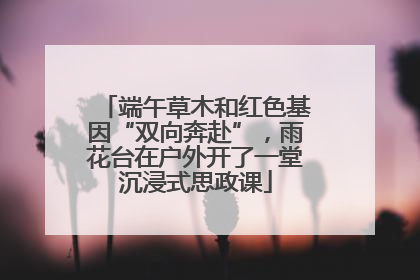 端午草木和红色基因“双向奔赴”，雨花台在户外开了一堂沉浸式思政课