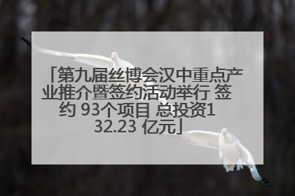 第九届丝博会汉中重点产业推介暨签约活动举行 签约 93个项目 总投资132.23 亿元
