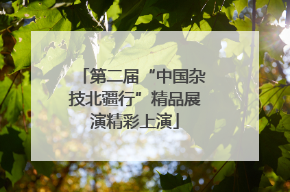 第二届“中国杂技北疆行”精品展演精彩上演