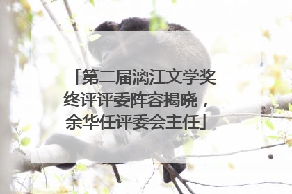 第二届漓江文学奖终评评委阵容揭晓，余华任评委会主任