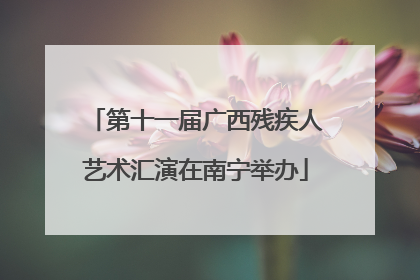 第十一届广西残疾人艺术汇演在南宁举办
