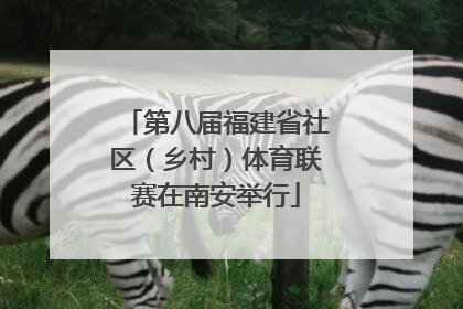 第八届福建省社区（乡村）体育联赛在南安举行