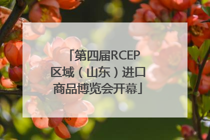 第四届RCEP区域（山东）进口商品博览会开幕