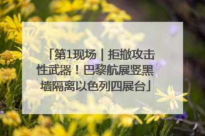 第1现场｜拒撤攻击性武器！巴黎航展竖黑墙隔离以色列四展台