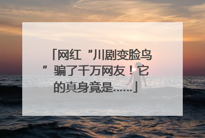 网红“川剧变脸鸟”骗了千万网友！它的真身竟是……
