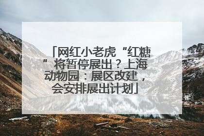 网红小老虎“红糖”将暂停展出？上海动物园：展区改建，会安排展出计划