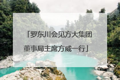 罗东川会见方大集团董事局主席方威一行