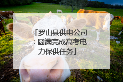 罗山县供电公司：圆满完成高考电力保供任务