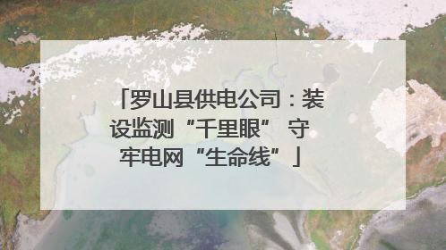 罗山县供电公司：装设监测“千里眼” 守牢电网“生命线”