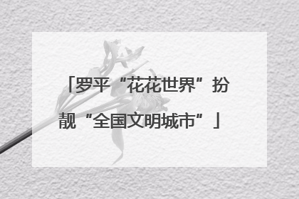 罗平“花花世界”扮靓“全国文明城市”
